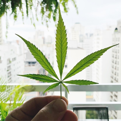 cbd, recovrx, rochester, ny
