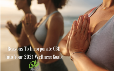 4 Reasons to Incorporate CBD Into Your 2021 Wellness Goals