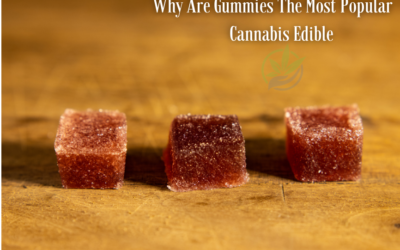 3 Reasons Why Gummies Are the Most Popular Cannabis Edible