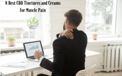 8 Best CBD Tinctures and Creams for Muscle Pain